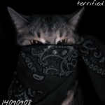 Terrified crew