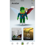 ROBLOX12345690