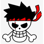 *The Ninja Pirates*