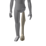 Meowl - Left Leg
