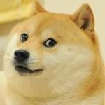 Doges United (NO RATS)
