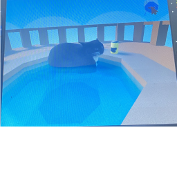 Obby To Maxwell