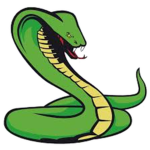 Surface Snakes