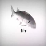 Fihshy Studios