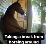 Bruhmoment Gaming