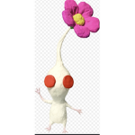 Plants of the underground