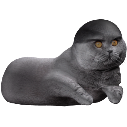 Low Taper Cat