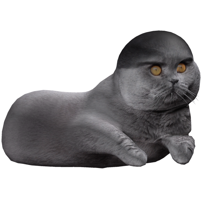 Low Taper Cat