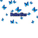 #butterflies#