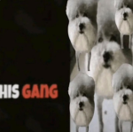 the fun gang on roblox platform