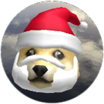 Santa Doge