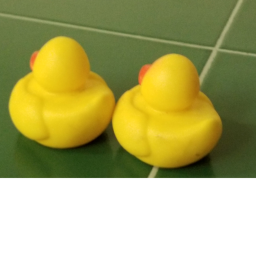 the duck protection force application center