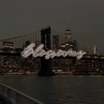 -•blossoms•-