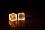 Golden Ice Inc.
