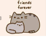 Pusheen BFF's