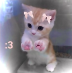 りののお部屋