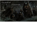 The Wolf Pack Of The Wolf Gods