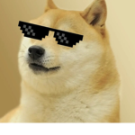 Dah cool doges