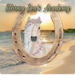 Stormy Sea’s Academy