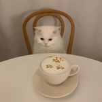 paying my commissions