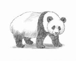 Apply to become Panda Soldier