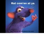 RATS AND CHEZZ