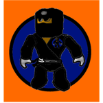 Thunderhawk Martial Arts Fighting Academy!