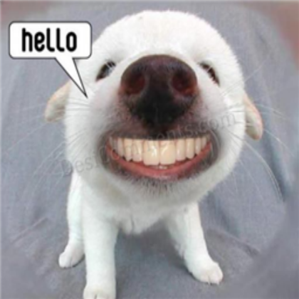 Funny Roblox decal