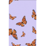 Xhappyaesthetic