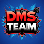DMSTeam