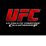 UFC (Ultimate Fighting Champions) :D