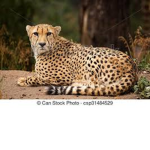 XxMatias147xX Group