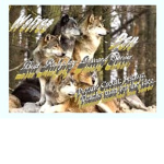 Wolves Den Server Group