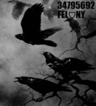 FELᗢNY