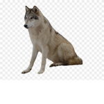 Free the wolf’s