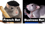 rat ppl.