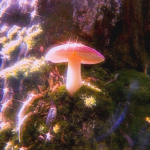 ~ethereal designs~