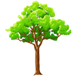 I Like Nature 13