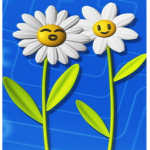 daisies store