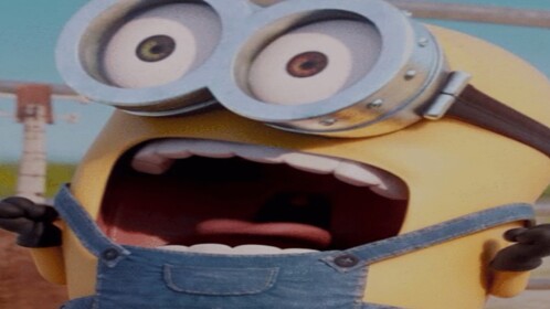 Minion Roleplay