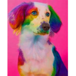 The Colourful Dogs