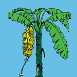 [FJI] Fijian Ministry of Foreign Affairs