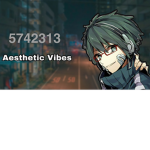 The aesthetic vibe