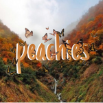 p e a c h i e s