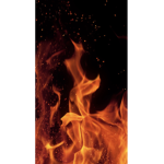 Justin’s Fire clan