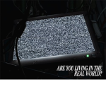 ARE YOU LIVING IN THE REAL WORLD?