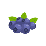Berry builders!