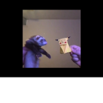 The bearYT group