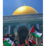 تنظيمات & فعاليات