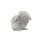 •Twinkle Bunnies•